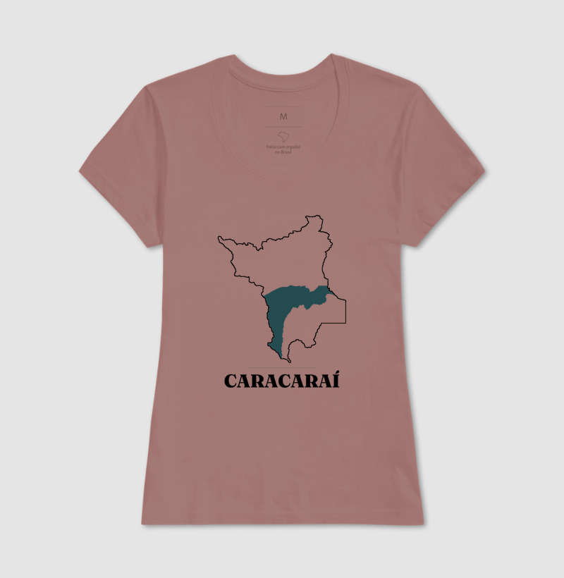 Caracaraí | Traço RR - Imagem 17