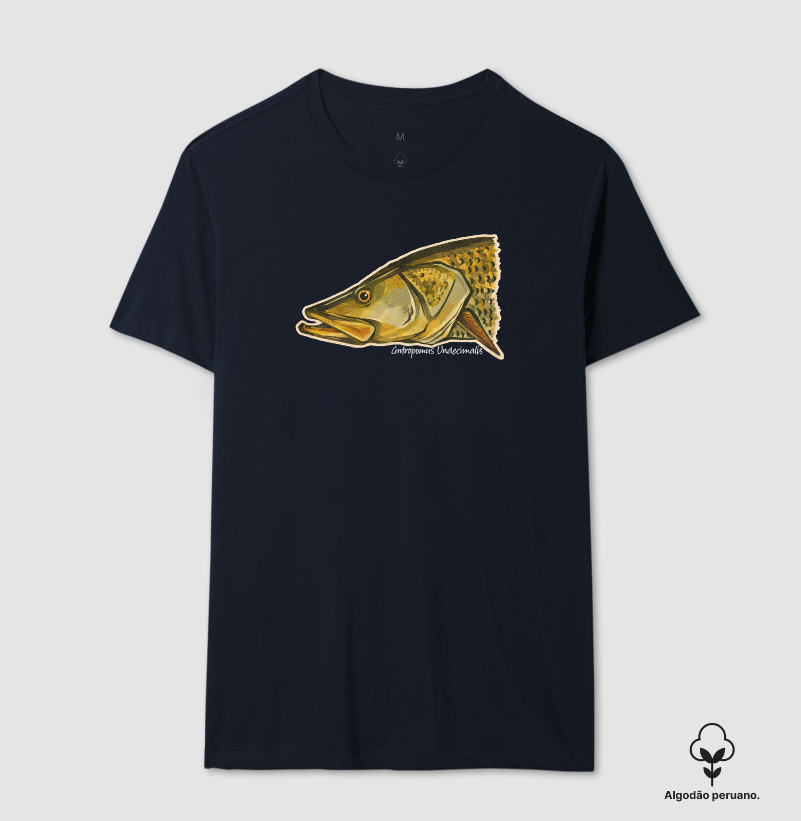Robalo-Flecha - Imagem 9