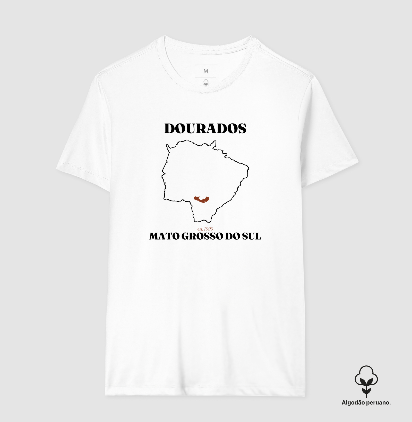 Dourados | Legado MS - Imagem 3