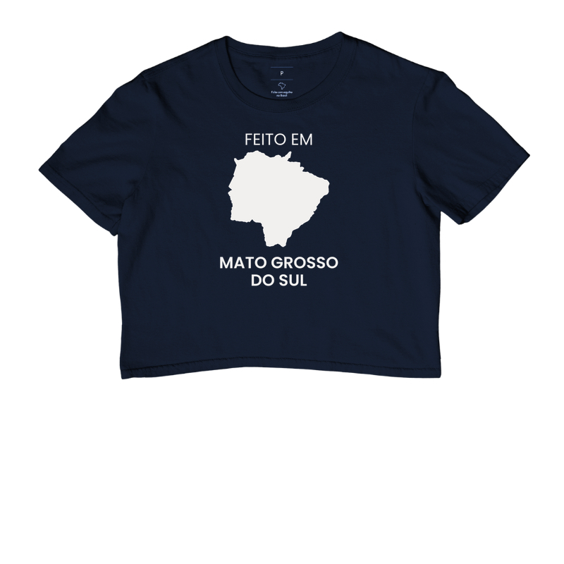 Feito em Mato Grosso do Sul - Imagem 4