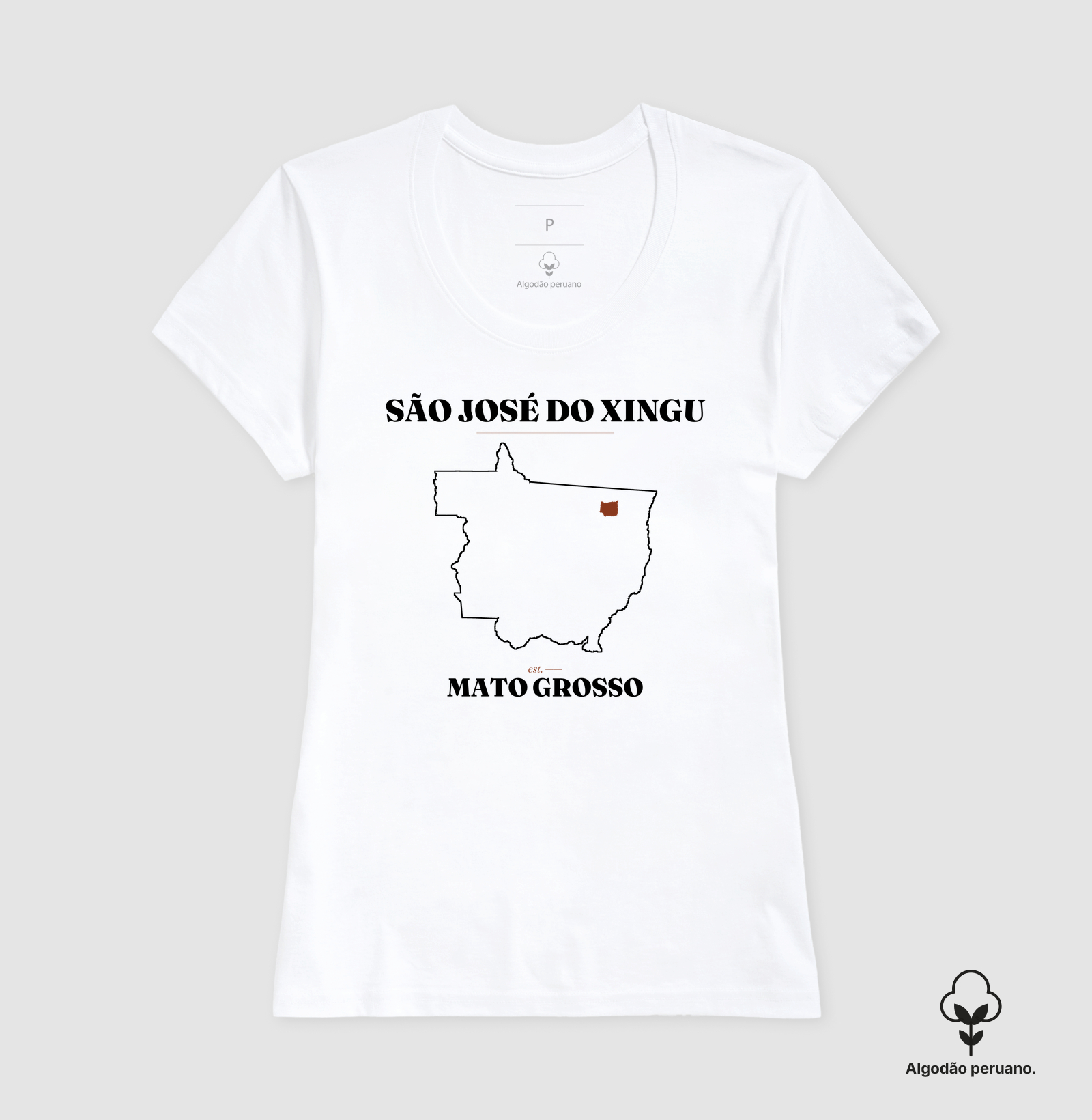 São José do Xingu | Legado MT - Imagem 6