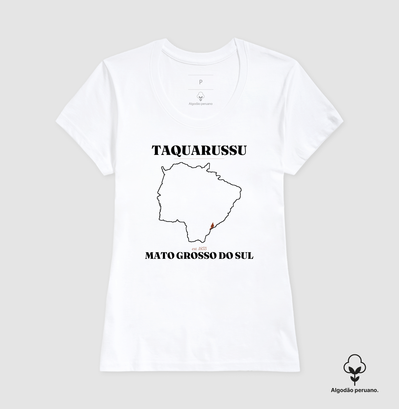 Taquarussu | Legado MS - Imagem 6