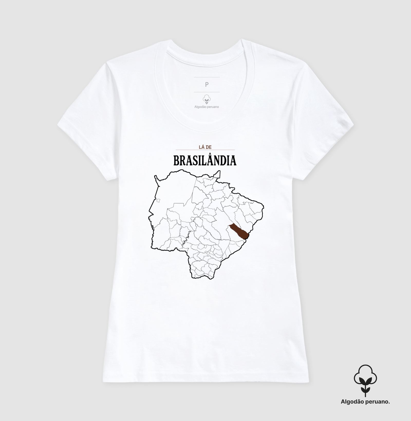 Brasilândia | Território MS - Imagem 7