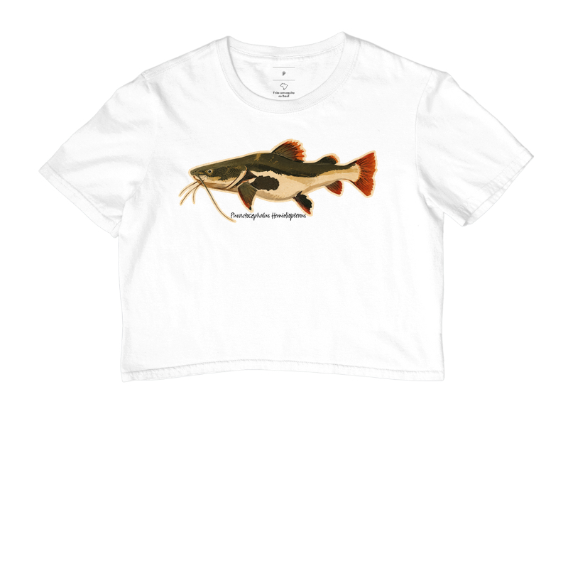 Pirarara 🐟 - Imagem 3