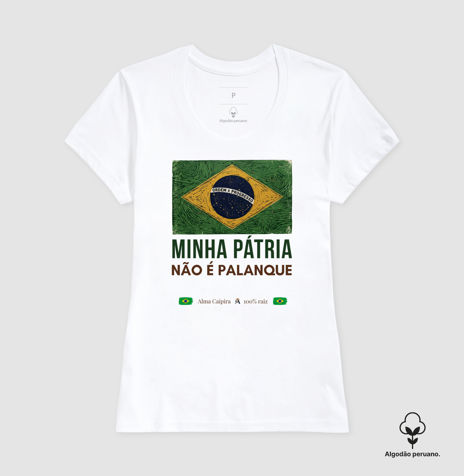 Minha Pátria não é palanque - Imagem 5