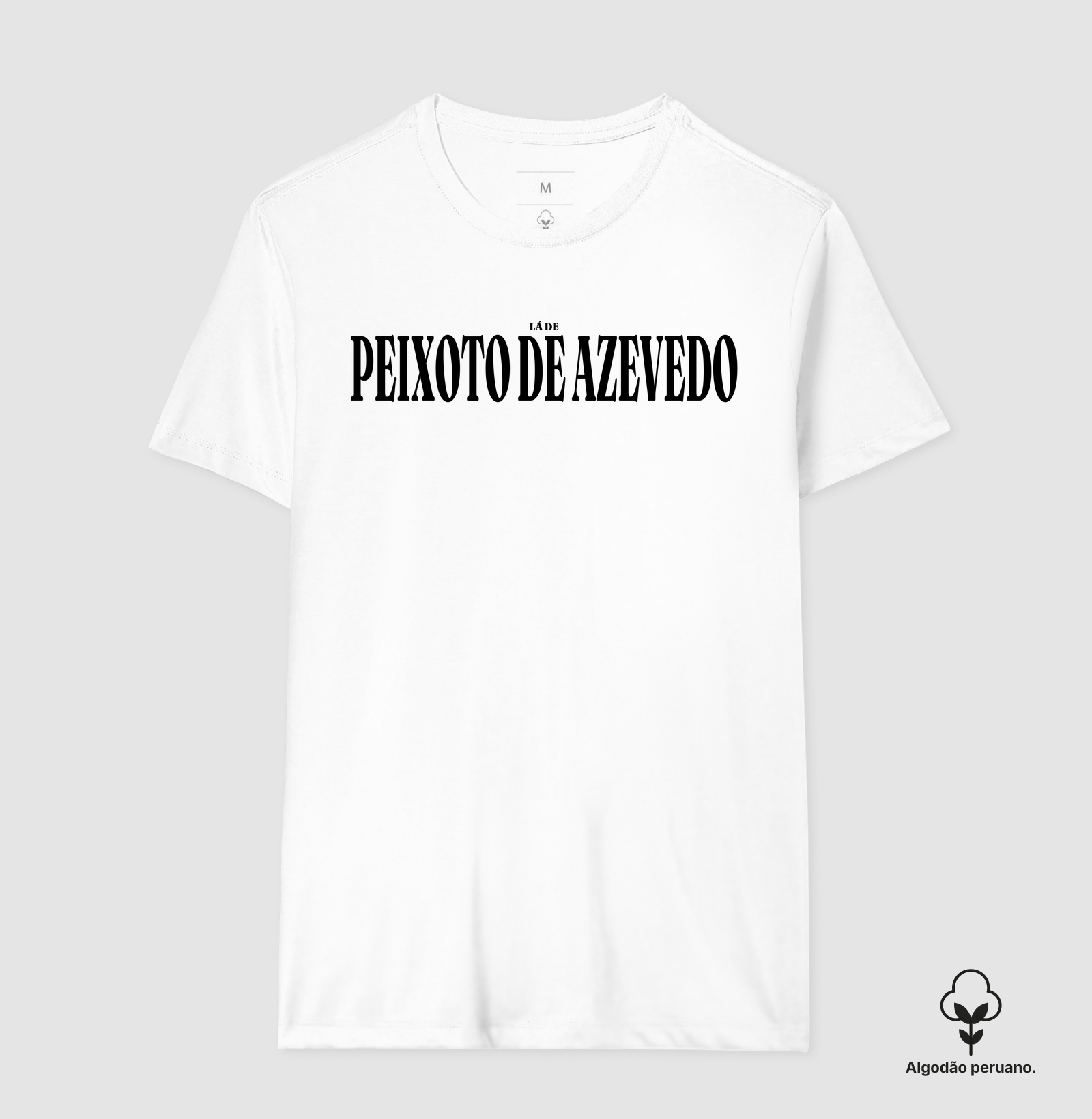 Peixoto de Azevedo | Tipografia MT - Imagem 4