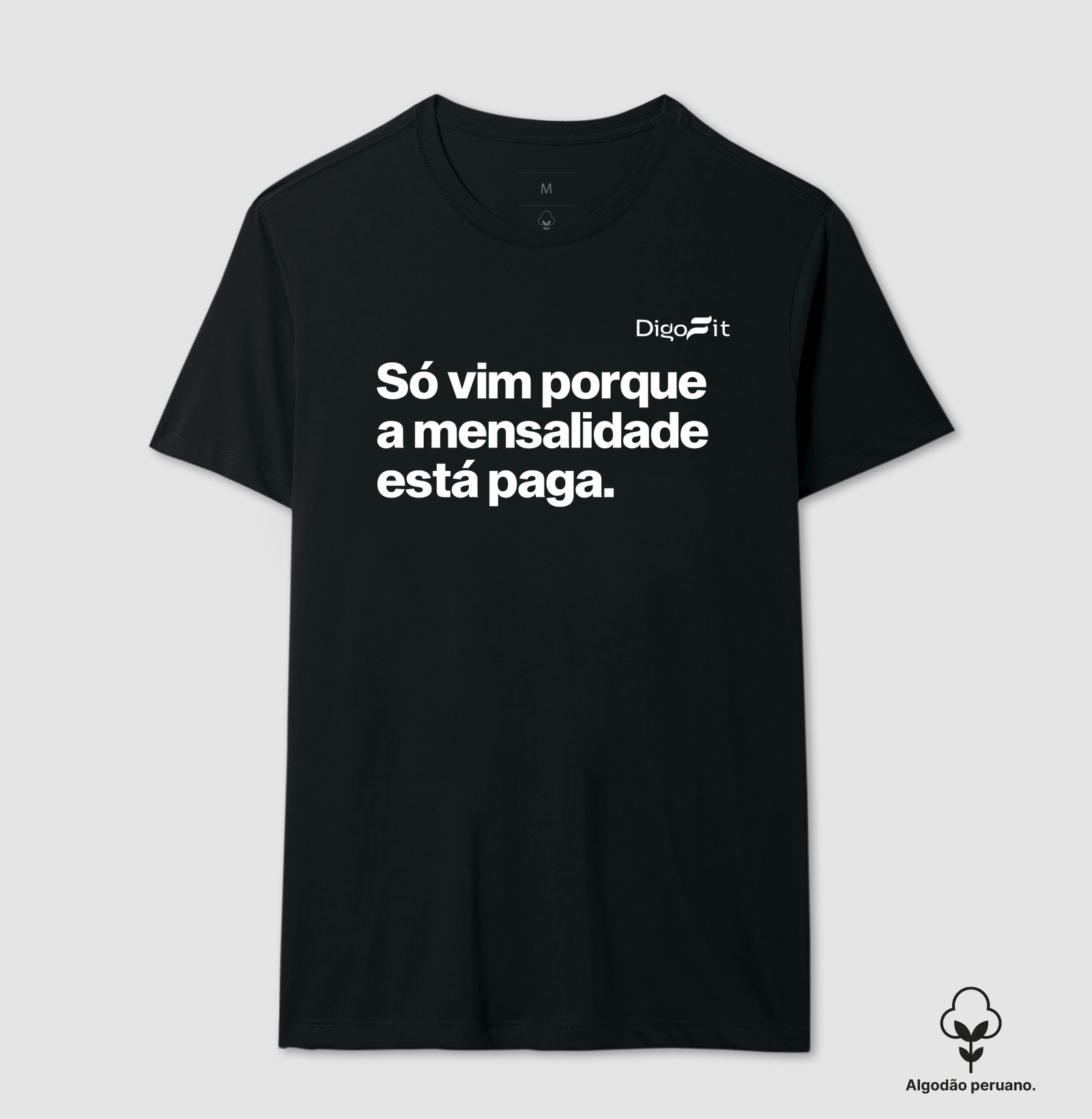 CAMISETA ALGODÃO PERUANO ACADEMIA SÓ VIM PORQUE A MENSALIDADE ESTÁ PAGA - Imagem 7