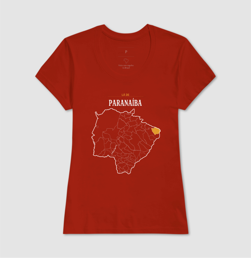 Paranaíba | Território MS - Imagem 11