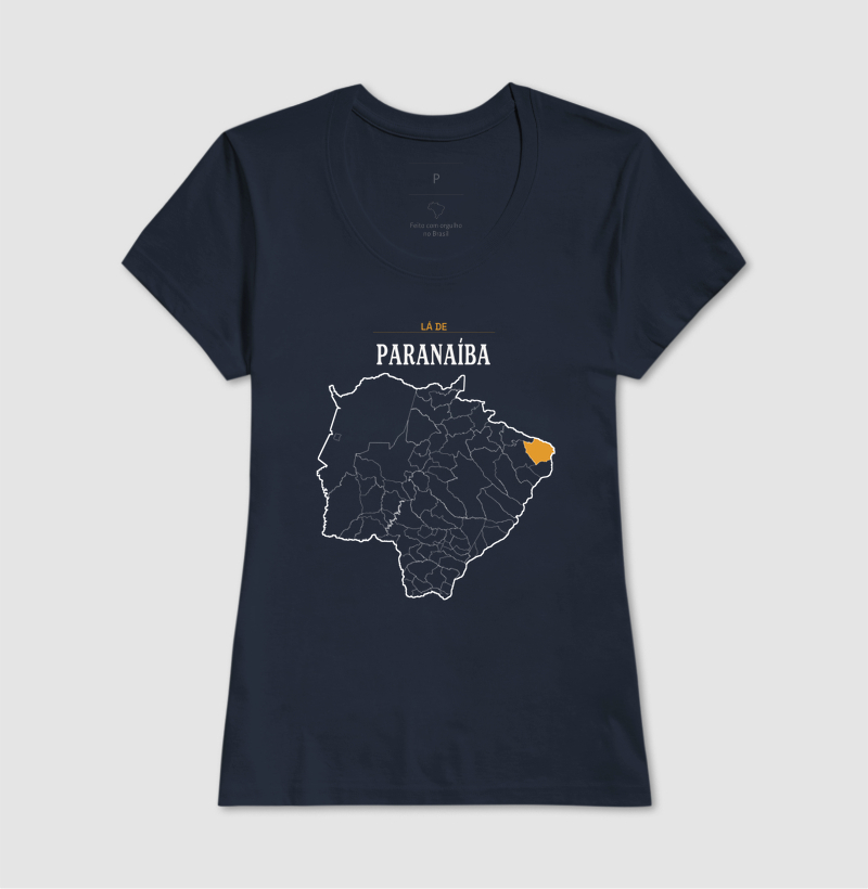 Paranaíba | Território MS - Imagem 7