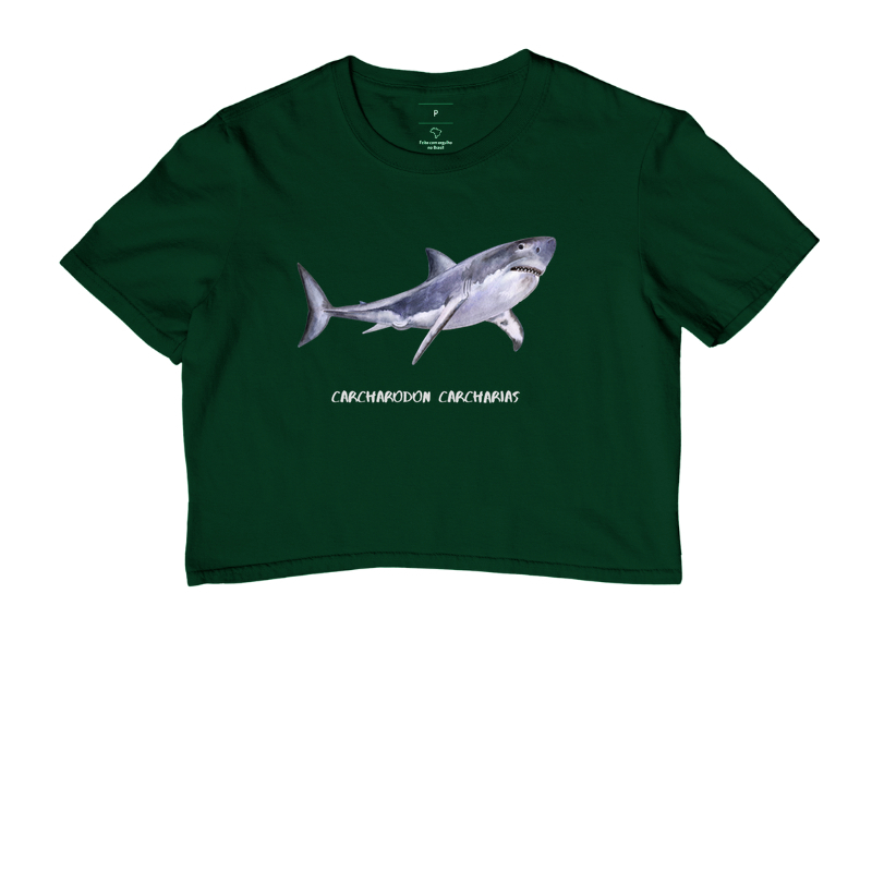 Carcharodon carcharias - Imagem 9