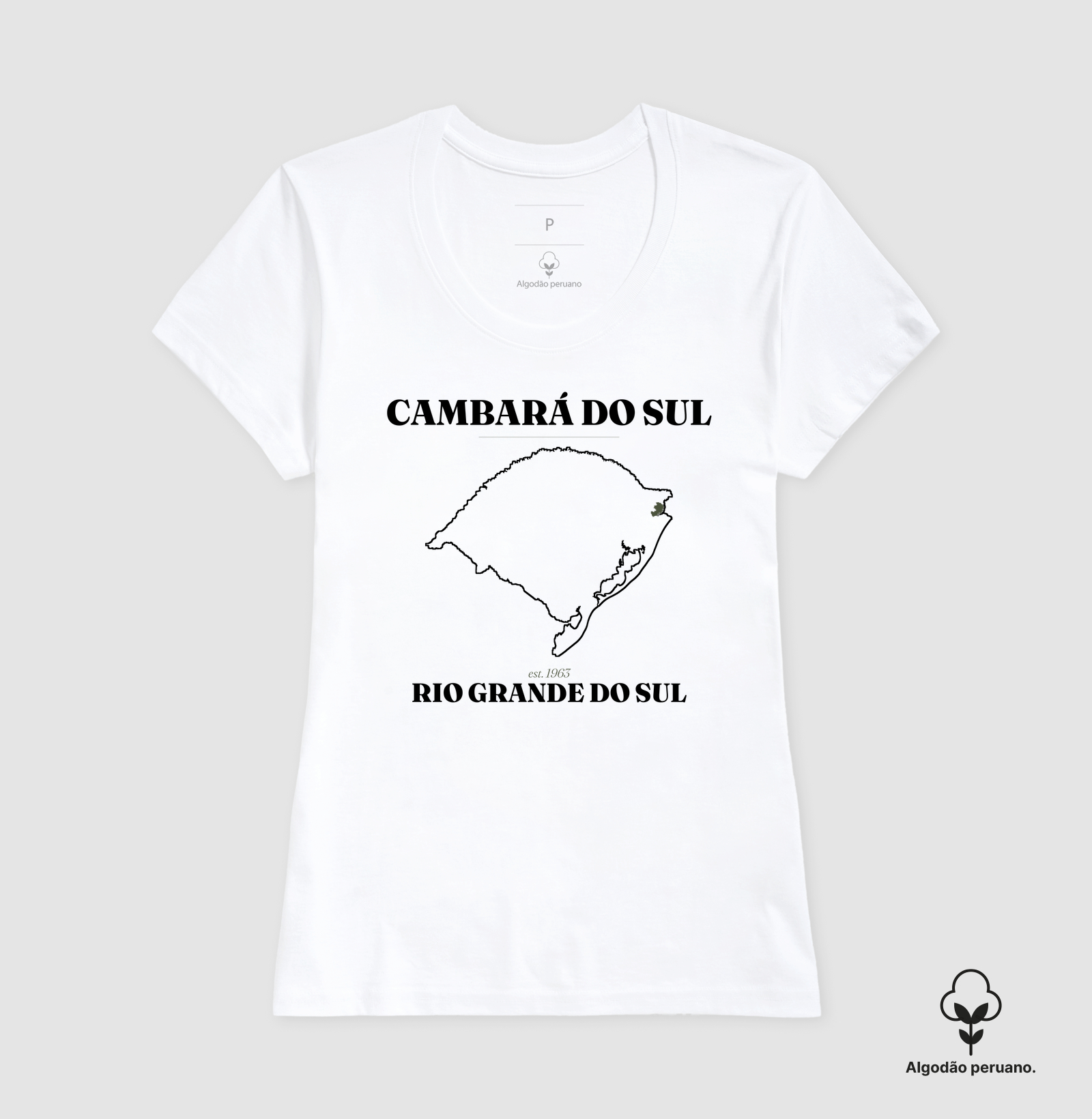 Cambará do Sul | Legado RS - Imagem 5