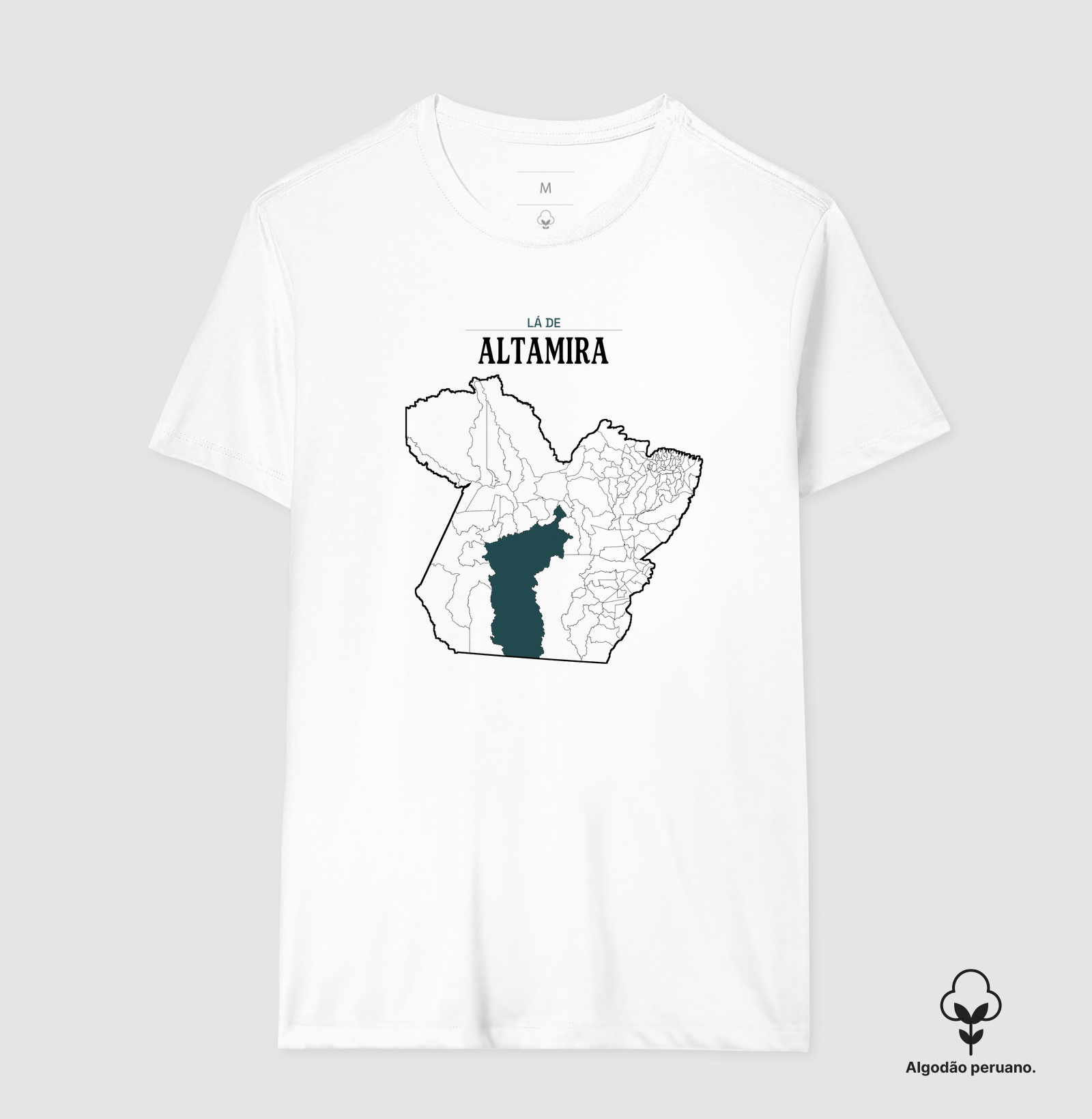 Altamira | Território PA - Imagem 7