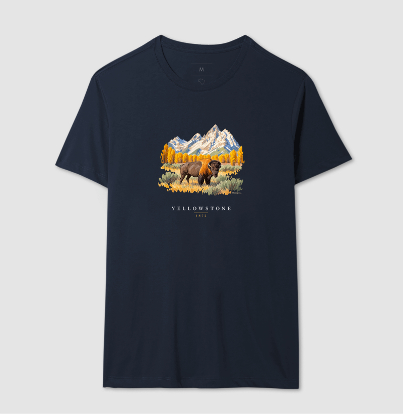 Bison - Yellowstone - Imagem 6