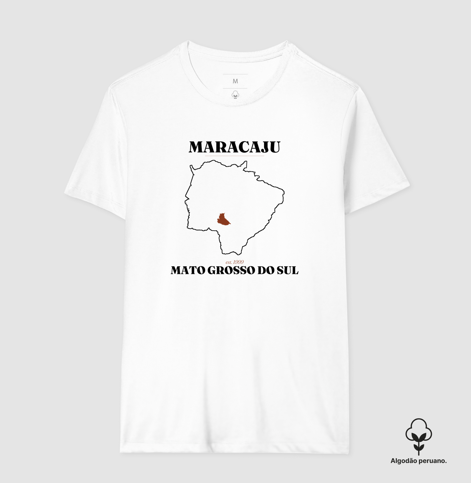 Maracaju | Legado MS - Imagem 3
