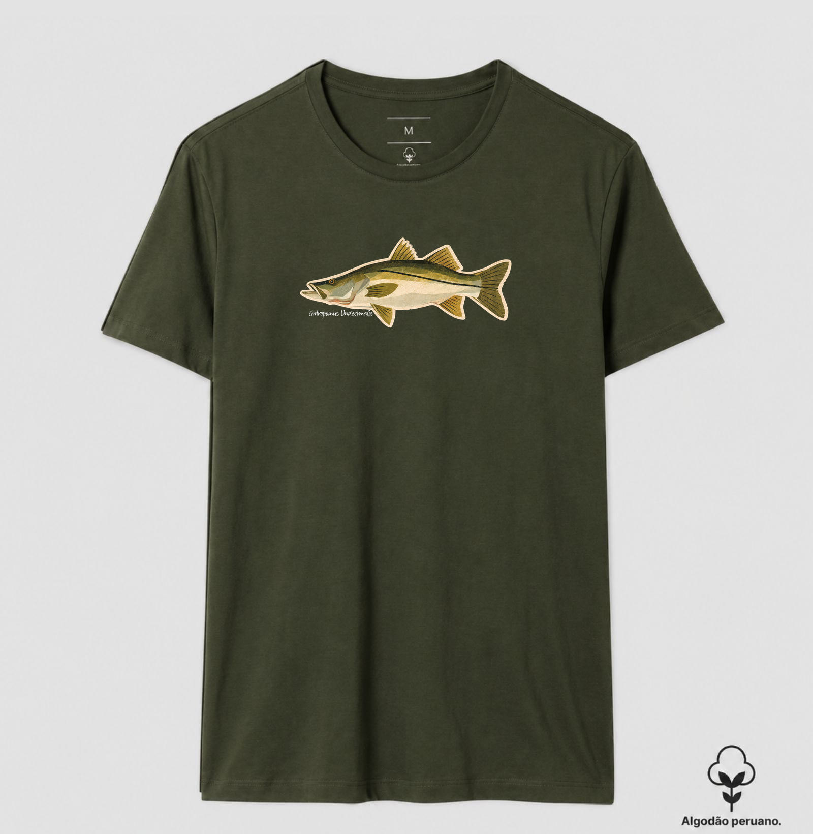Robalo - Imagem 5