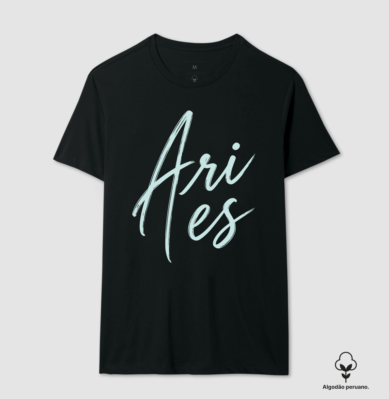 Aries - Imagem 2