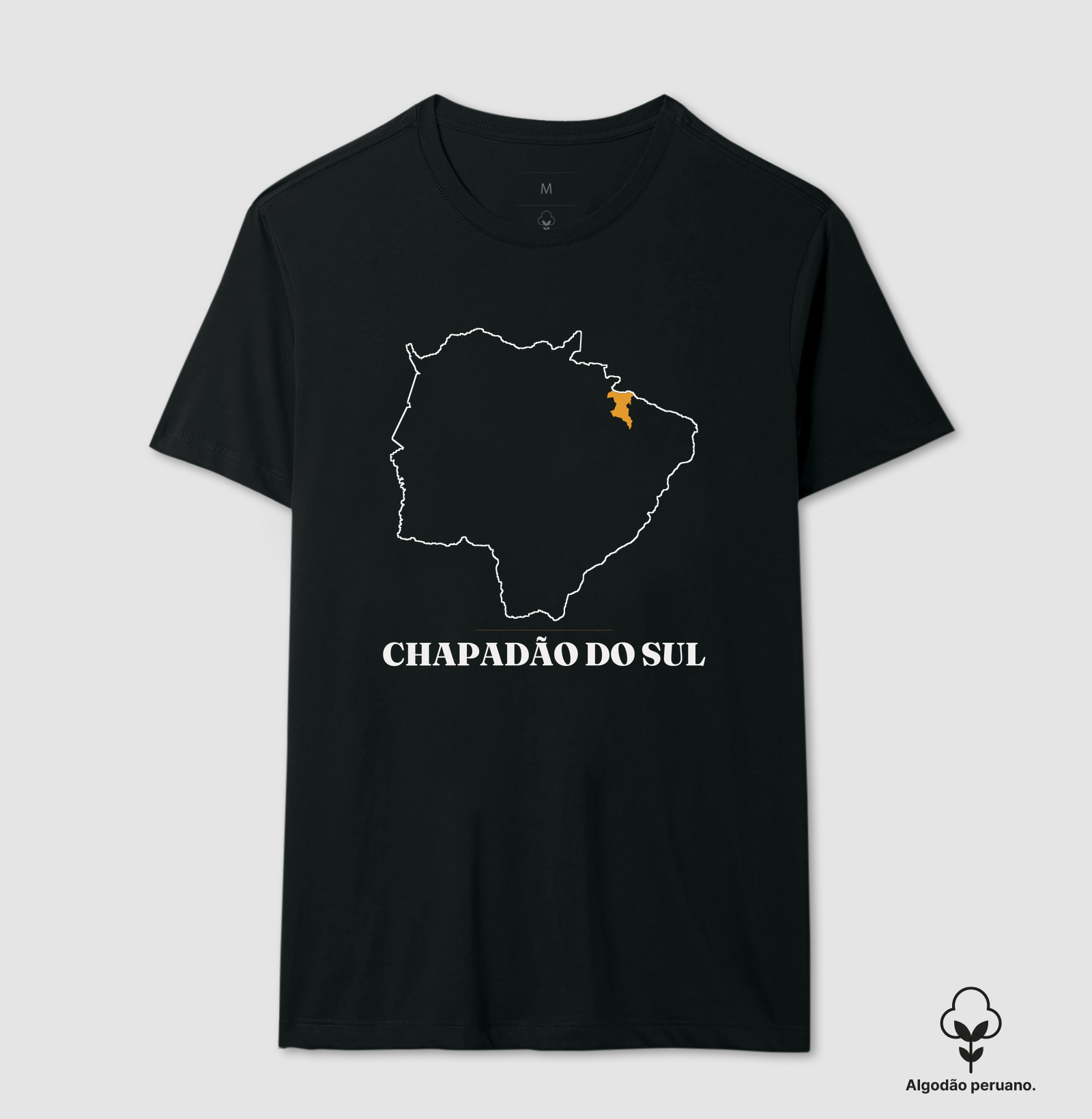 Chapadão do Sul | Traço MS - Imagem 4