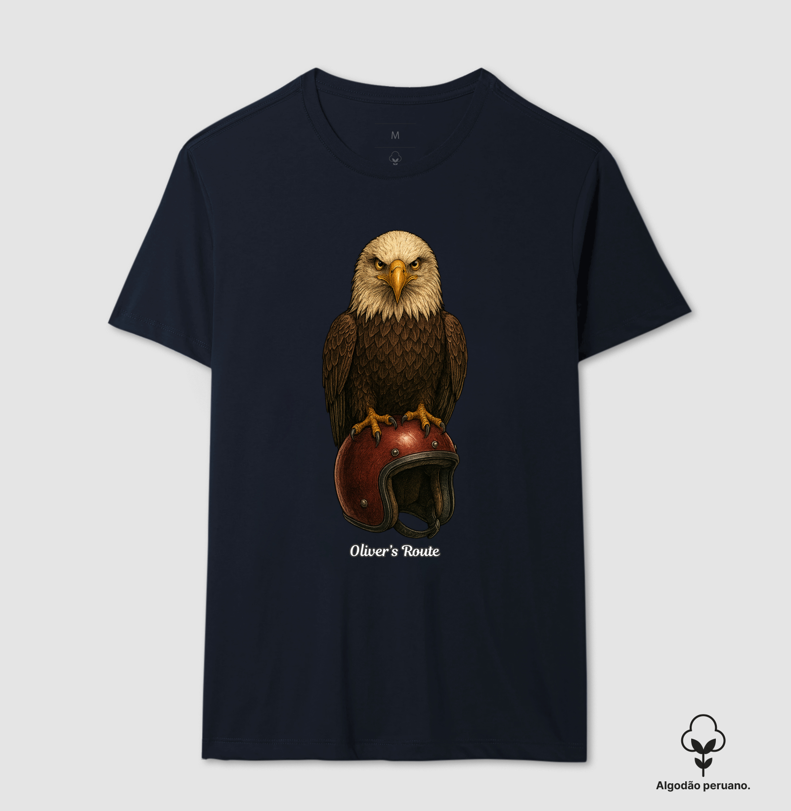The Eagle and the Helmet - Imagem 4