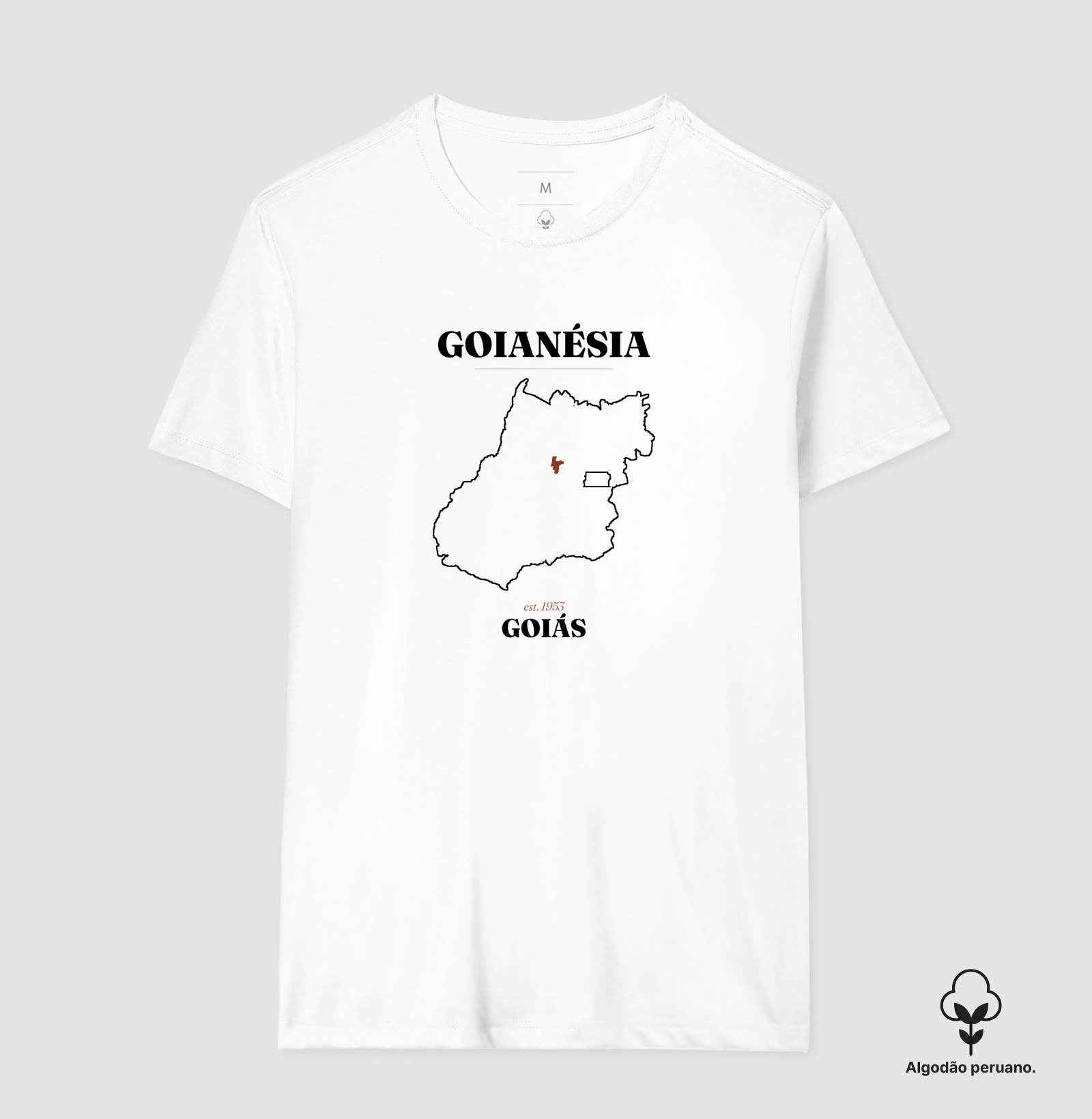 Goianésia | Legado GO - Imagem 8