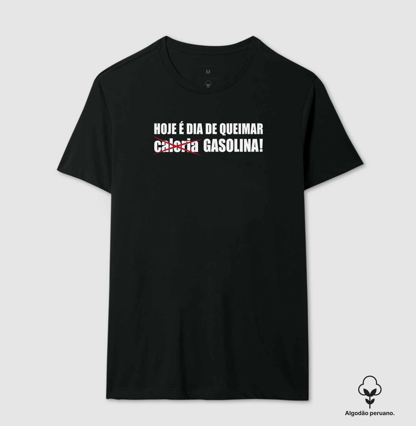 Dia de Queimar Gasolina - Imagem 5
