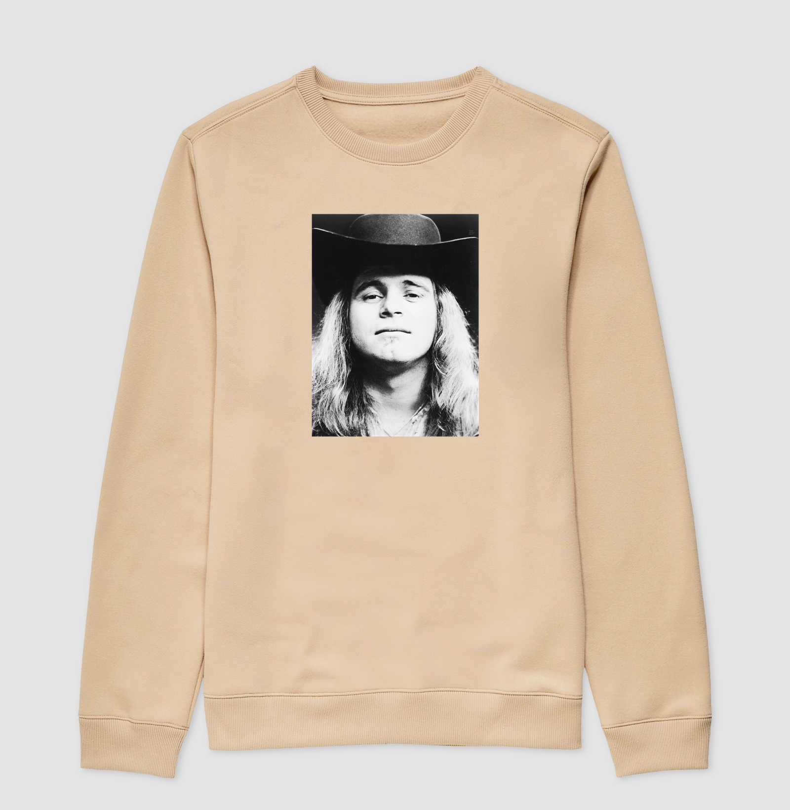 Ronnie Van Zant - Imagem 3