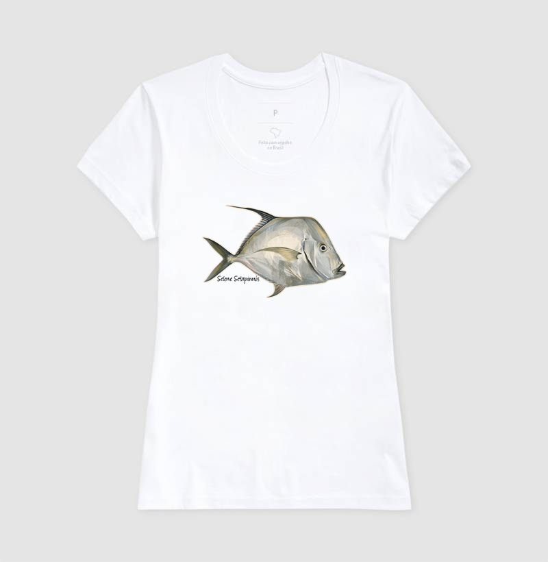 Peixe-Galo - Imagem 5