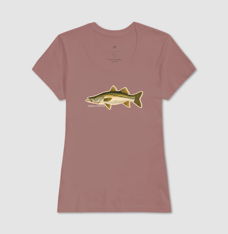 Robalo - Imagem 12