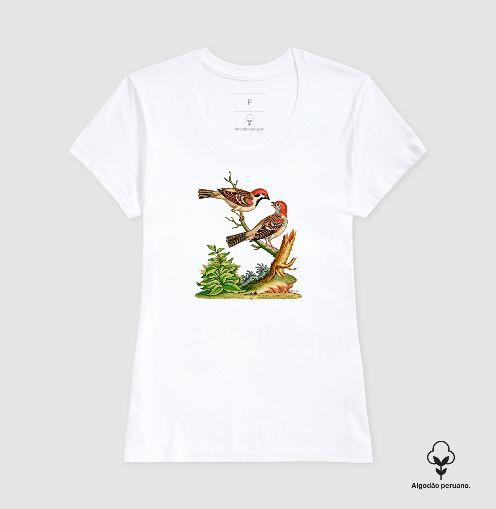 Camiseta Pássaros — História Natural do Século XVIII - Imagem 6