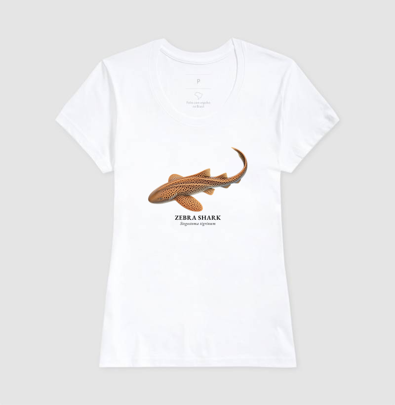 Zebra Shark - Imagem 6