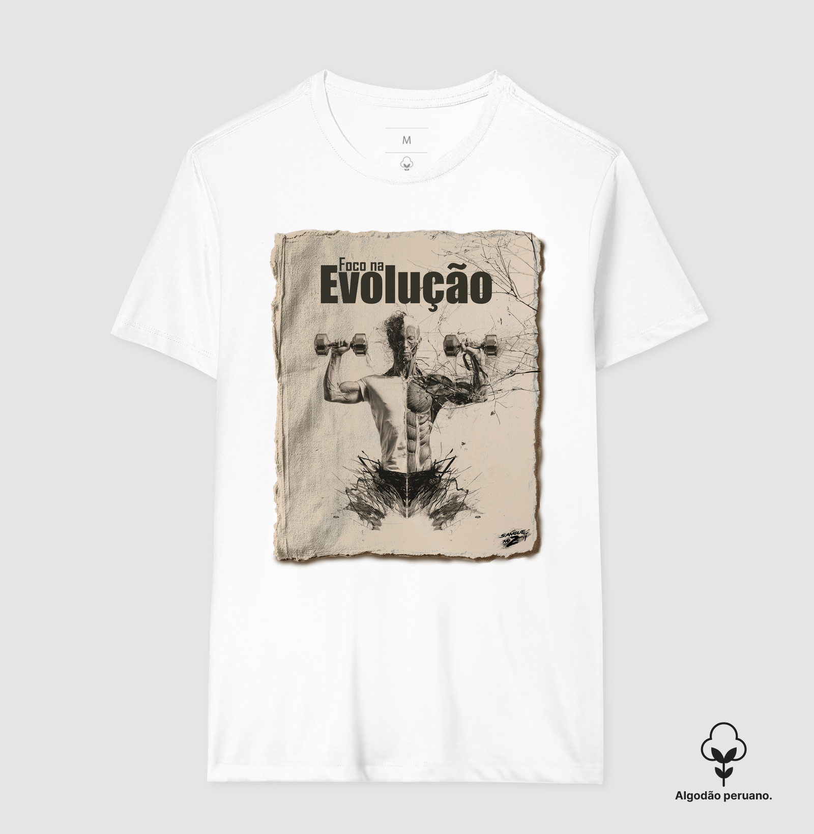 Foco na Evolução 01 - Imagem 2