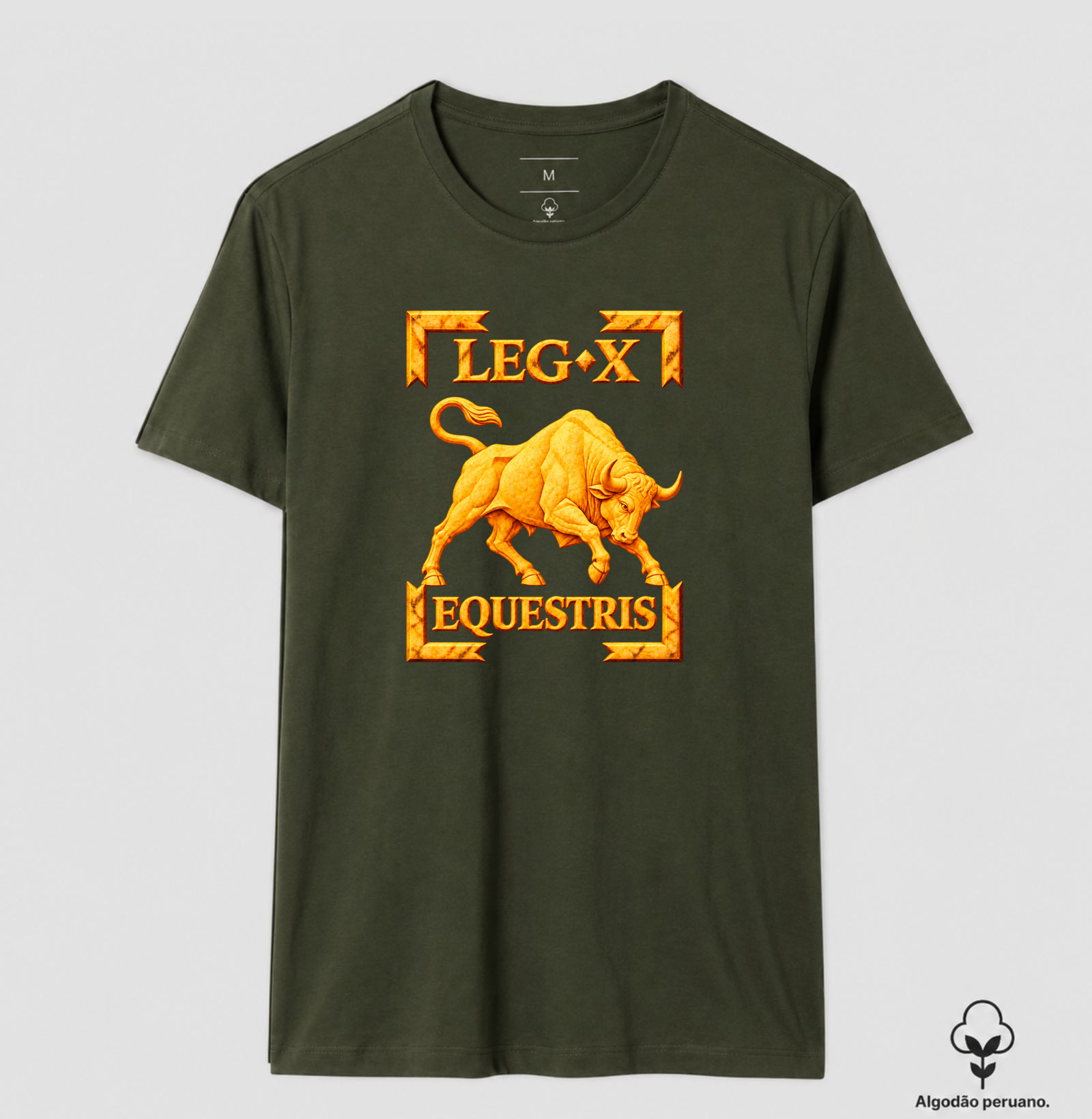 LEGIO — X Equestris - III - Imagem 5