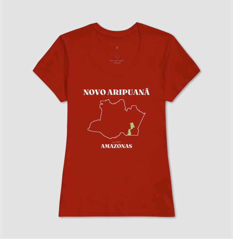 Novo Aripuanã | Legado AM - Imagem 11