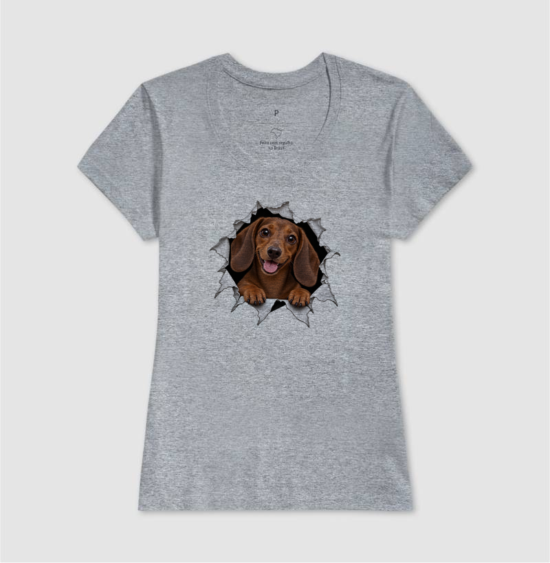 Dachshund Saindo Pelo Rasgo - Imagem 9