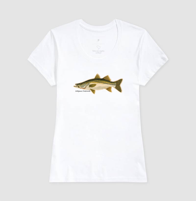 Robalo - Imagem 5