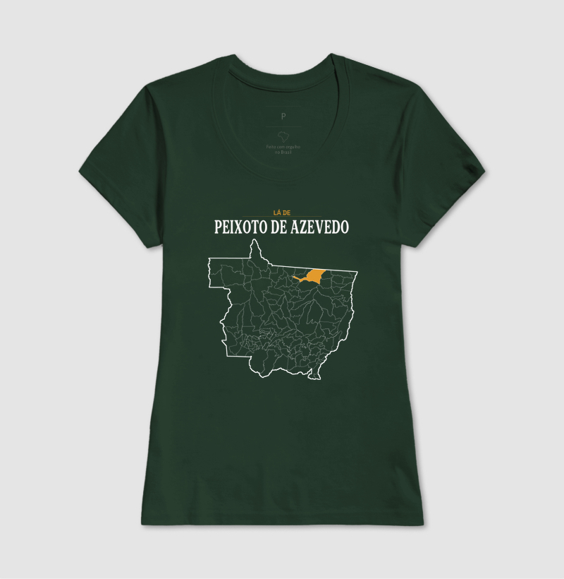 Peixoto de Azevedo | Território MT - Imagem 13