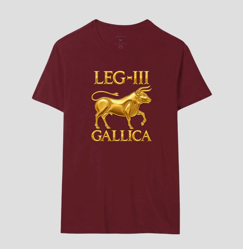 LEGIO — III Gallica - III - Imagem 5