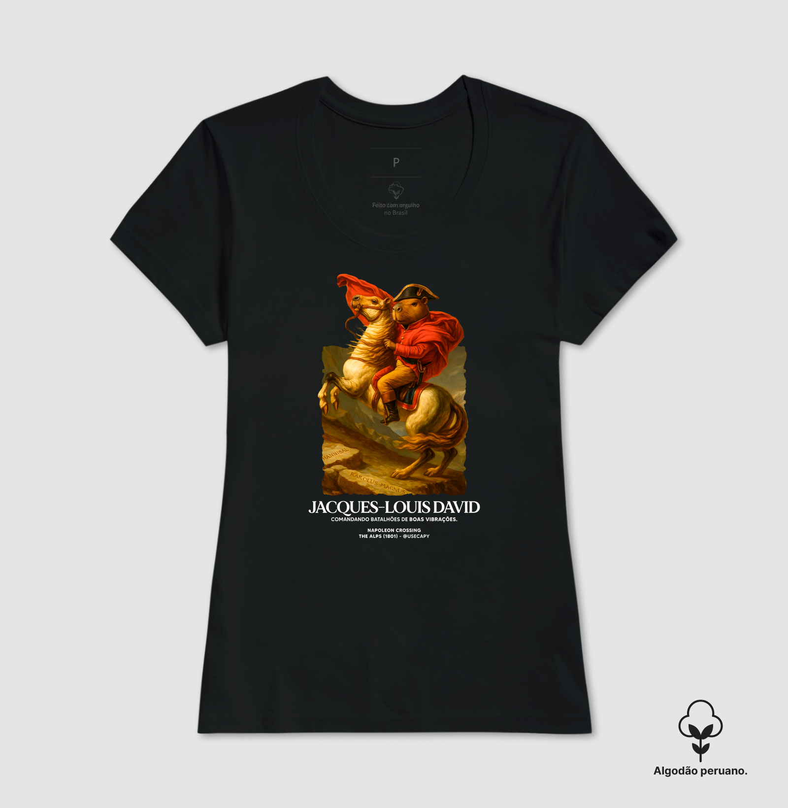 Camisa 6