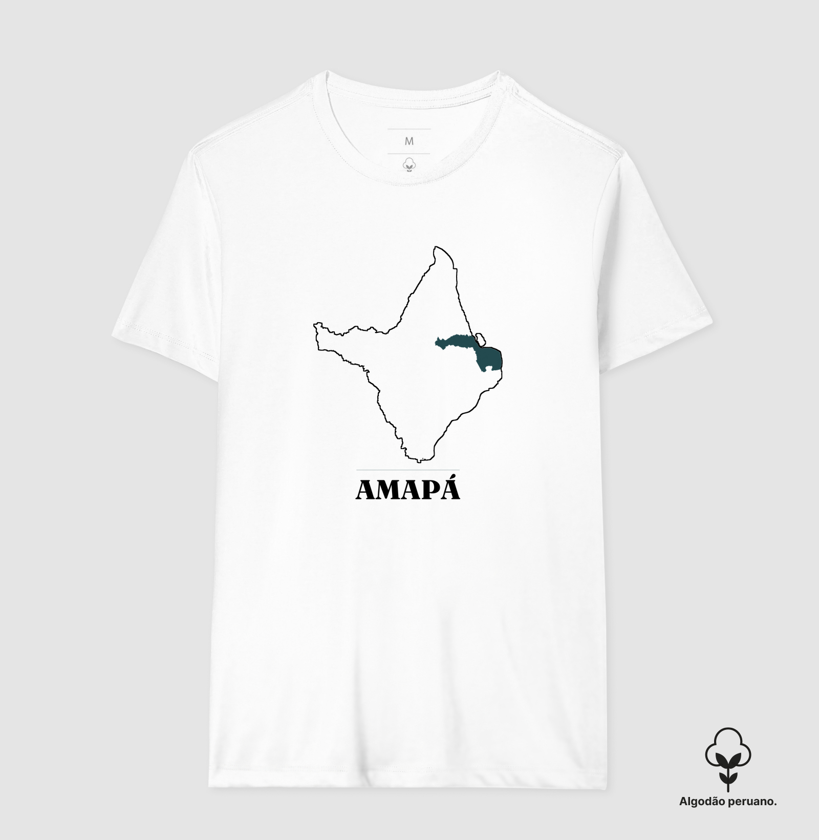 Amapá | Traço AP - Imagem 3