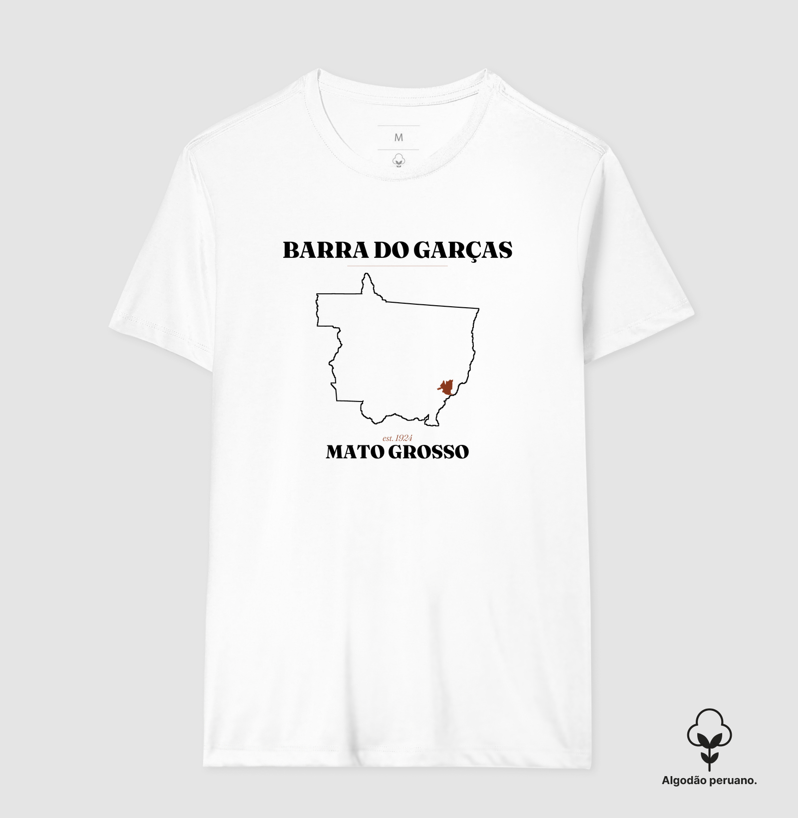 Barra do Garças | Legado MT - Imagem 6