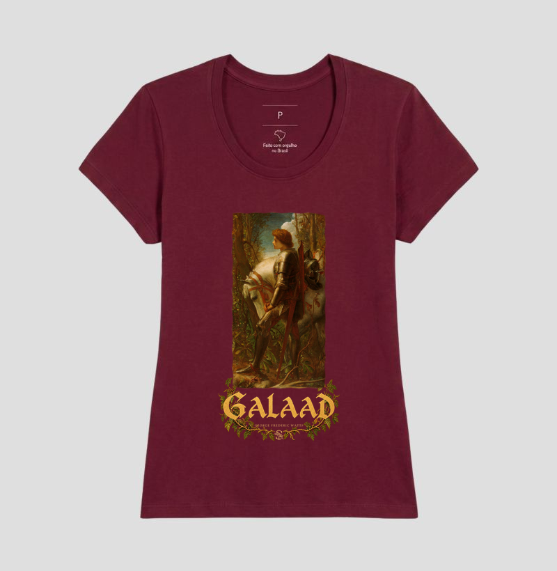 Galaad — O cavaleiro do Graal - Imagem 5