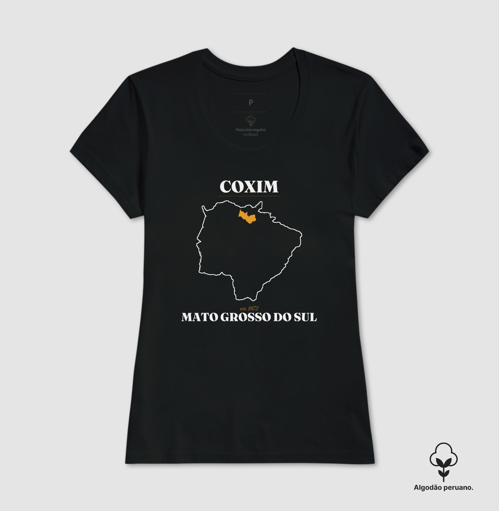Coxim | Legado MS - Imagem 2
