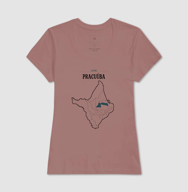 Pracuúba | Território AP - Imagem 17