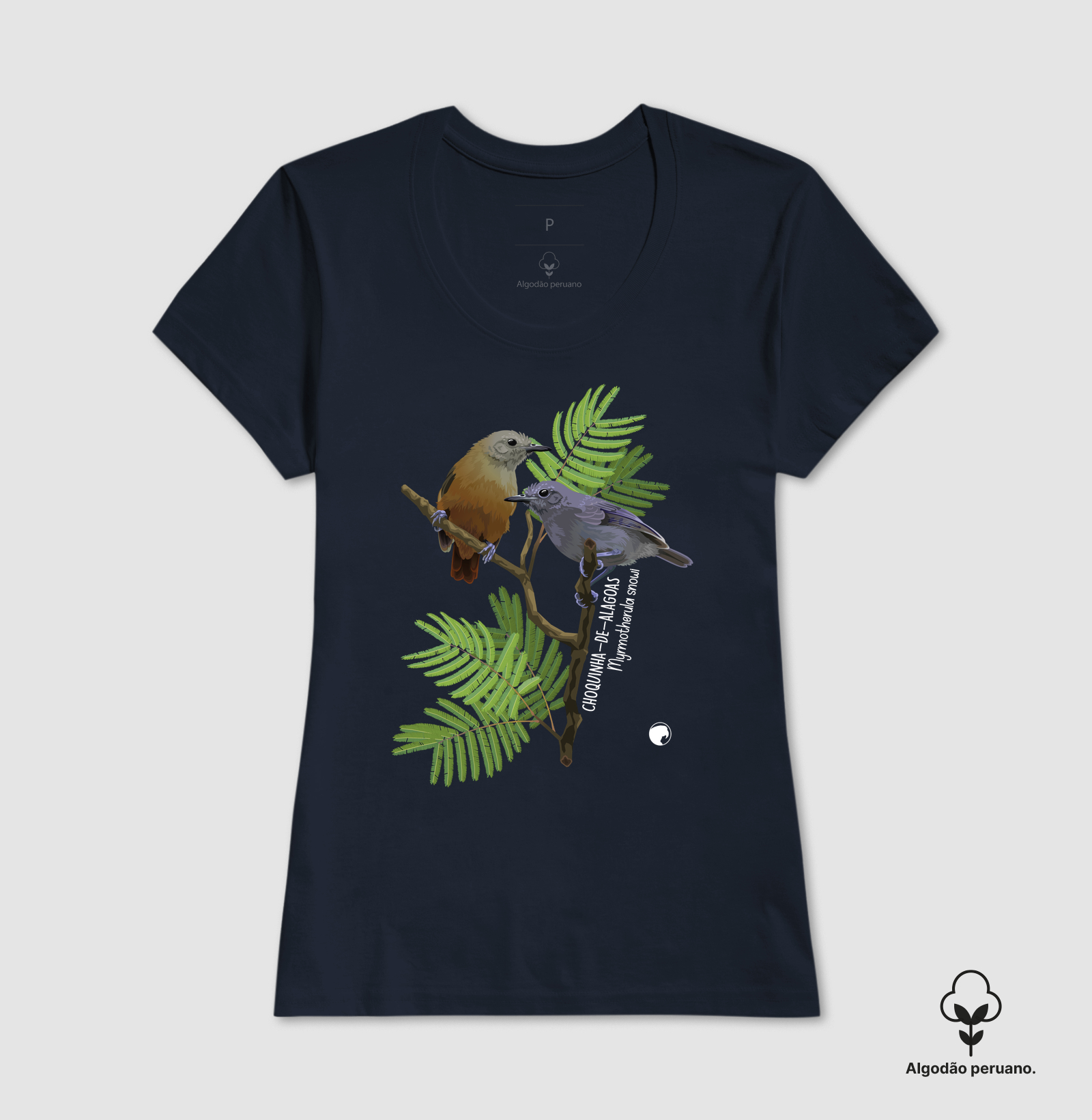 Choquinha-de-alagoas - Imagem 5