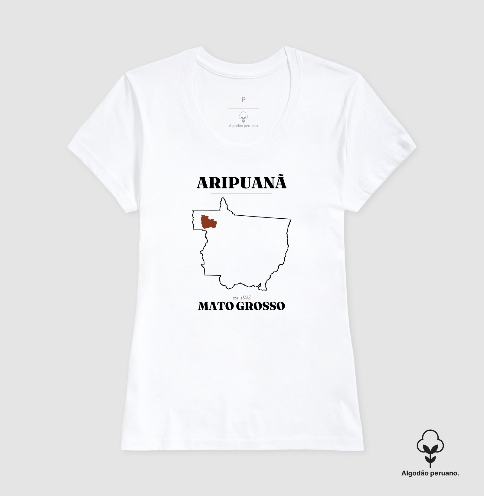 Aripuanã | Legado MT - Imagem 7