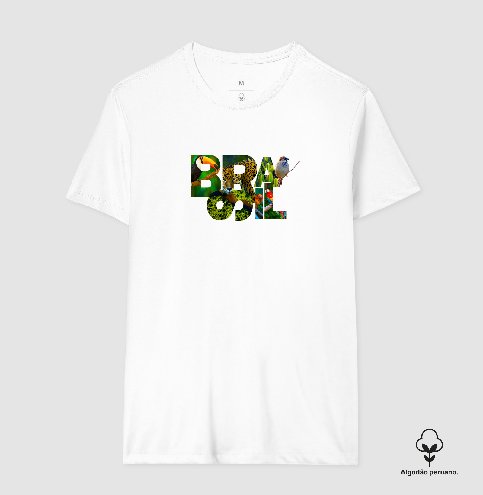 Brasil  - Imagem 5
