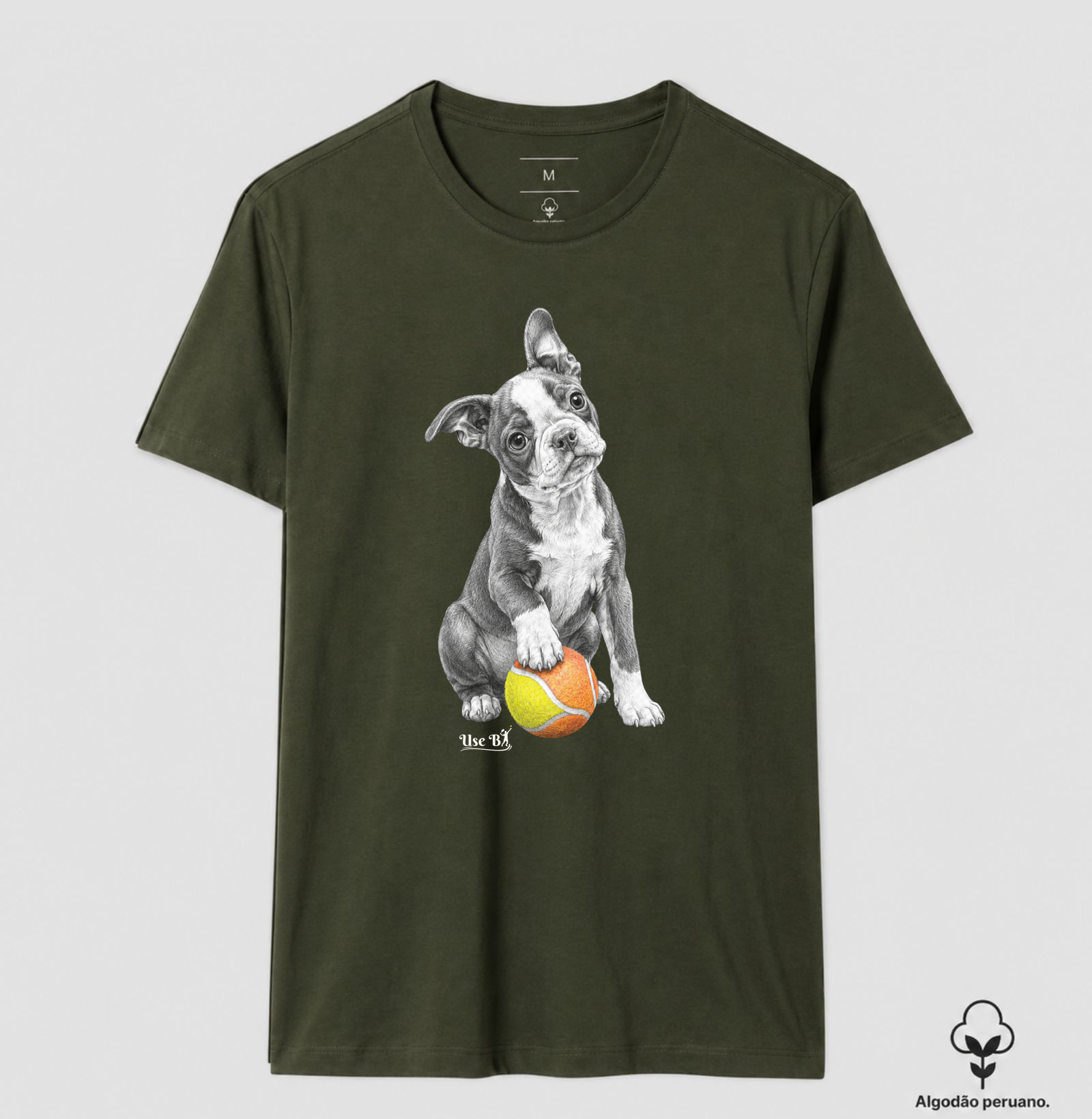 Boston Terrier do Beach - Imagem 9