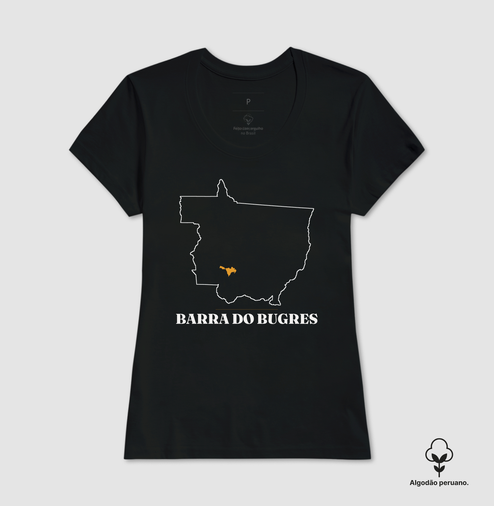 Barra do Bugres | Traço MT - Imagem 5