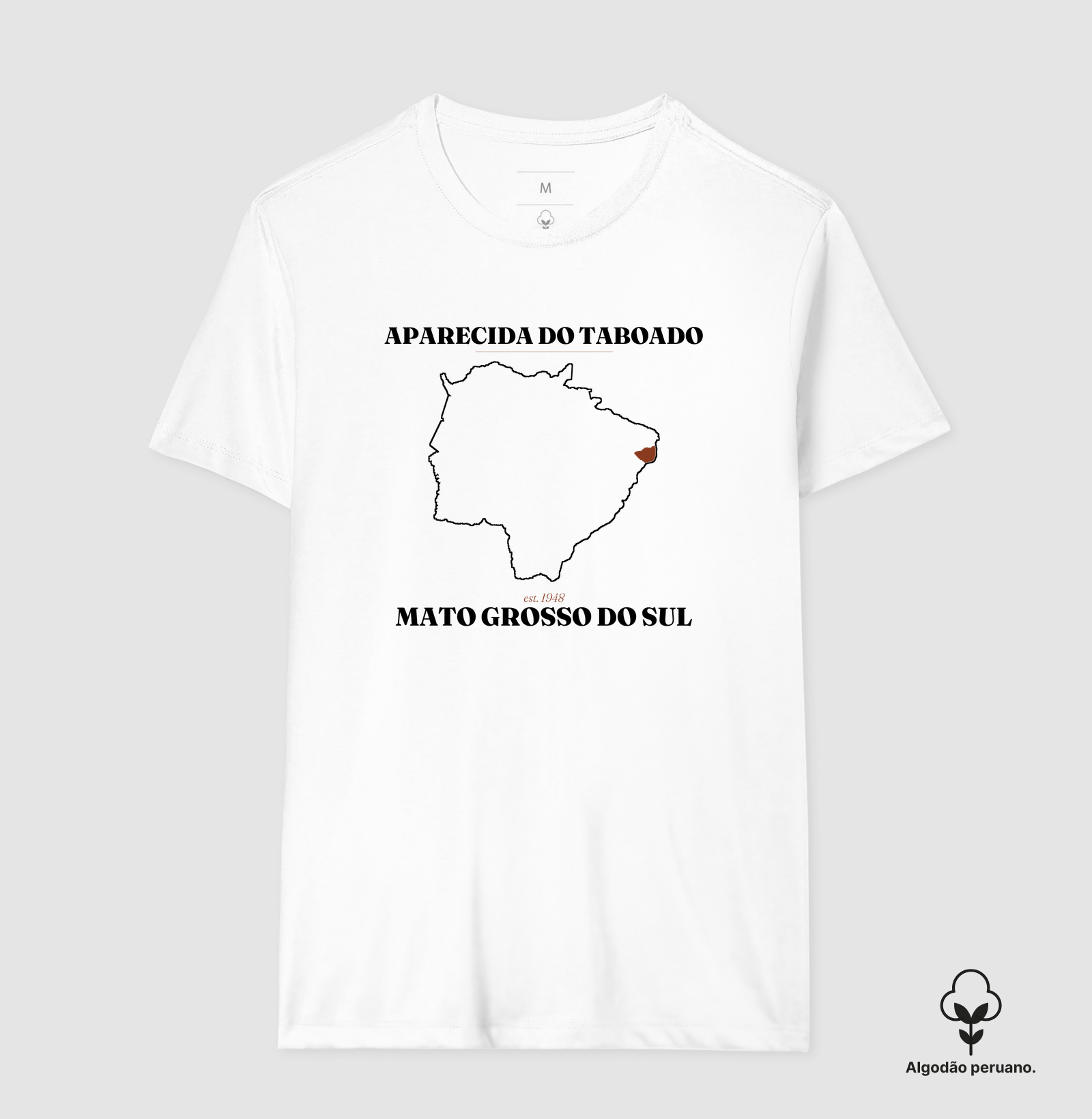 Aparecida do Taboado | Legado MS - Imagem 5