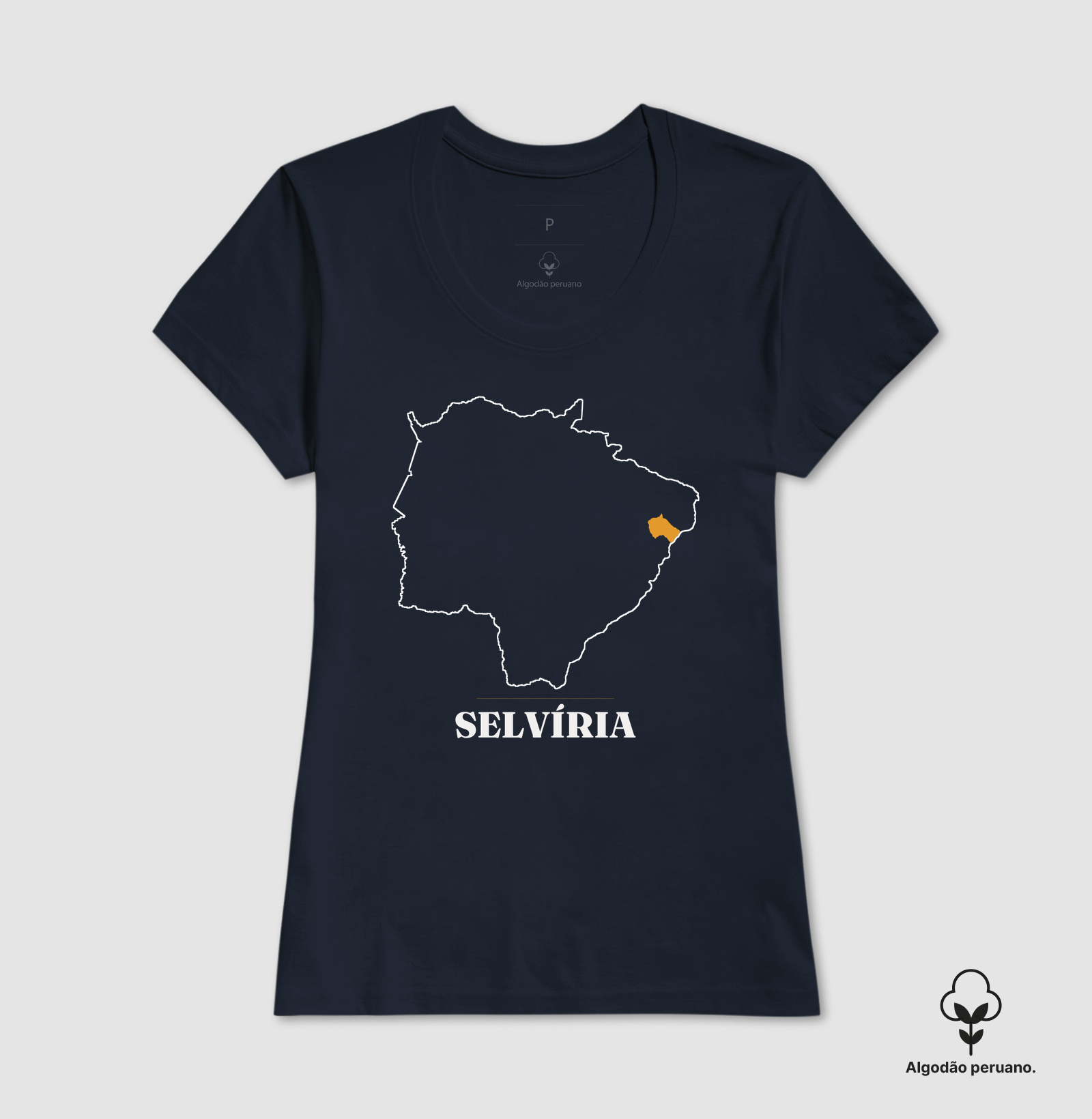 Selvíria | Traço MS - Imagem 6