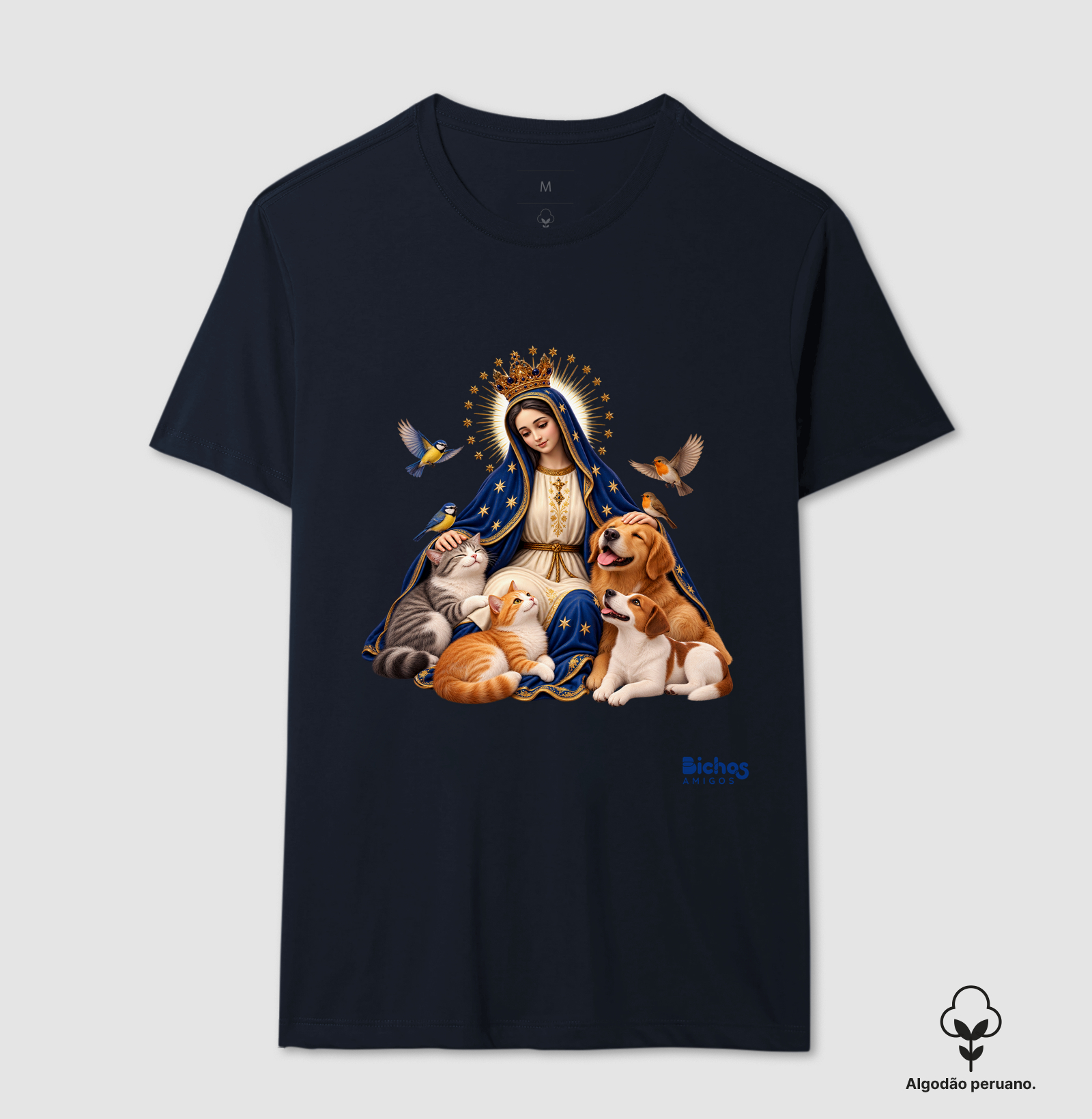 Nossa Senhora Aparecida - Imagem 5